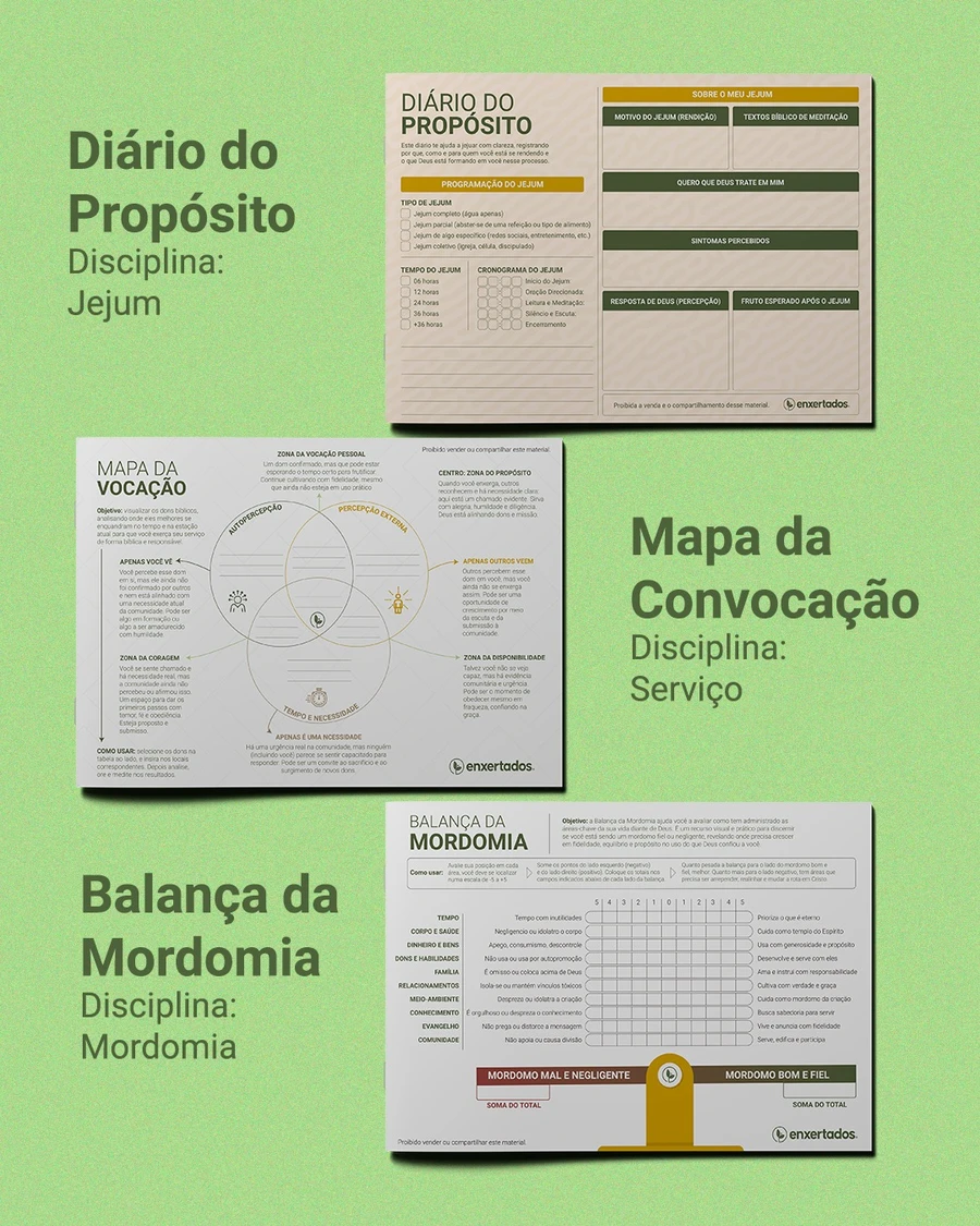 Disciplinas Espirituais: Guia Devocional + Caderno de Ferramentas — imagem 6