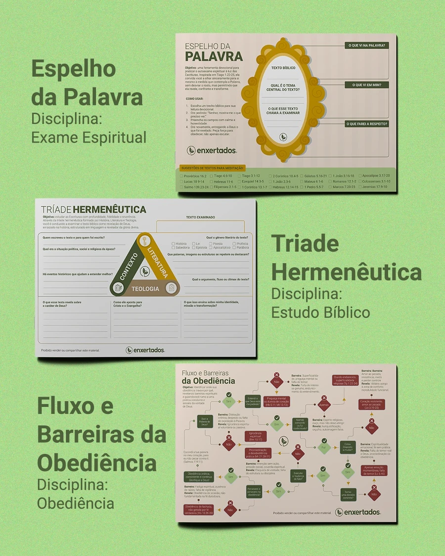 Disciplinas Espirituais: Guia Devocional + Caderno de Ferramentas — imagem 7