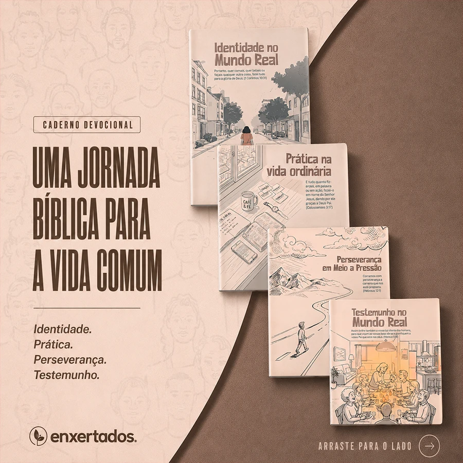 Cristãos no Mundo Real: A Fé na Vida Ordinária — imagem 3
