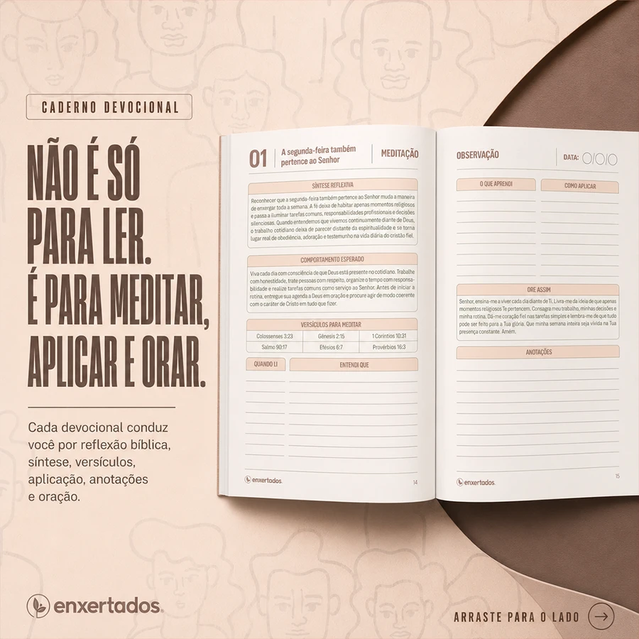 Cristãos no Mundo Real: A Fé na Vida Ordinária — imagem 5
