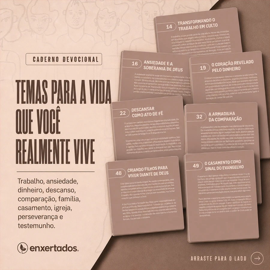 Cristãos no Mundo Real: A Fé na Vida Ordinária — imagem 6