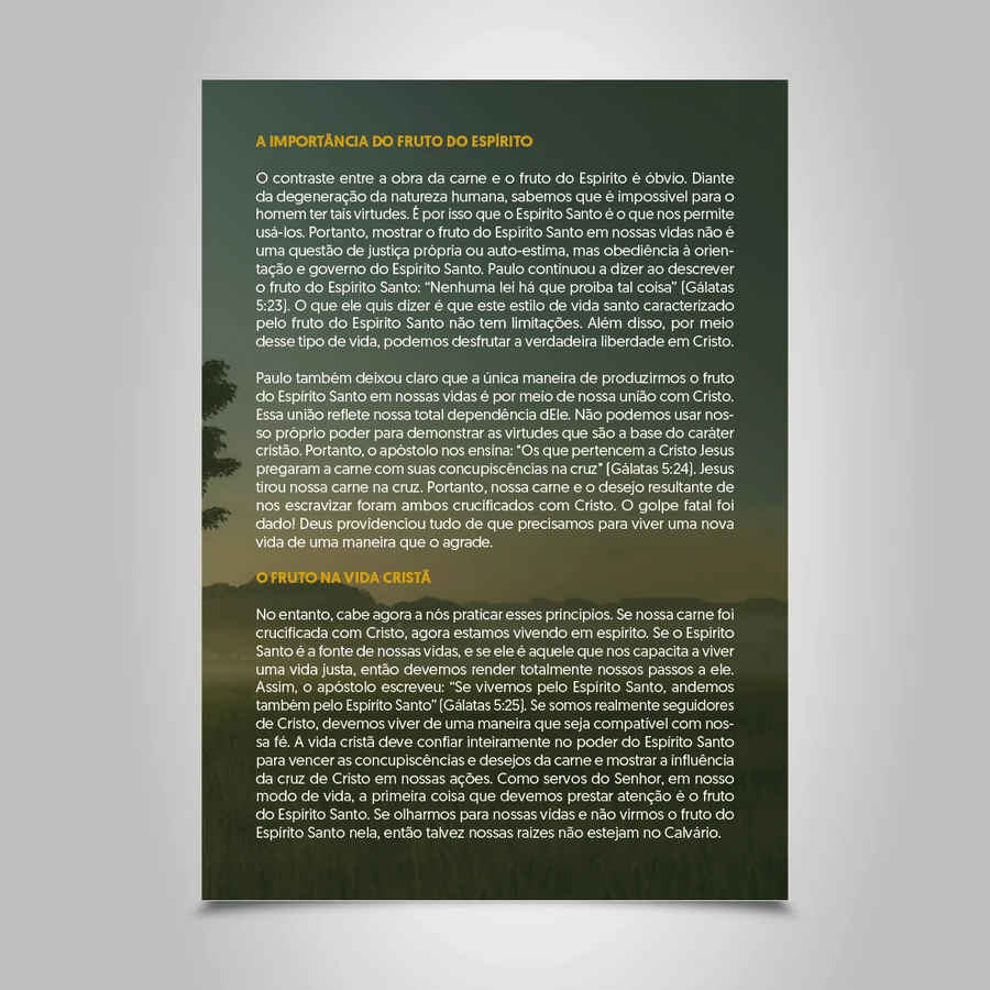 Caderno Devocional: Conformada a Cristo — imagem 3