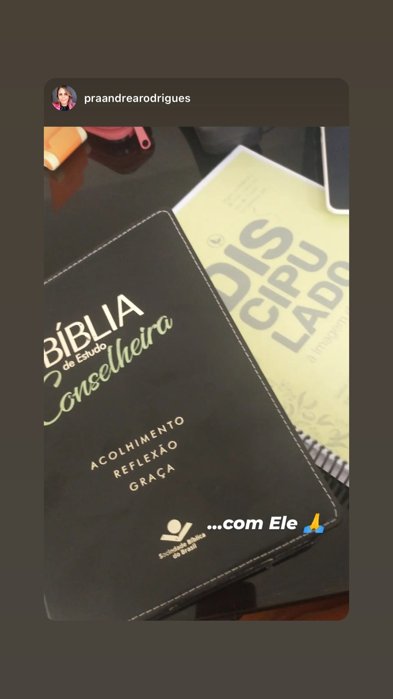 Print do Instagram: leitora com o Discipulado à Imagem do Filho ao lado da Bíblia de estudo
