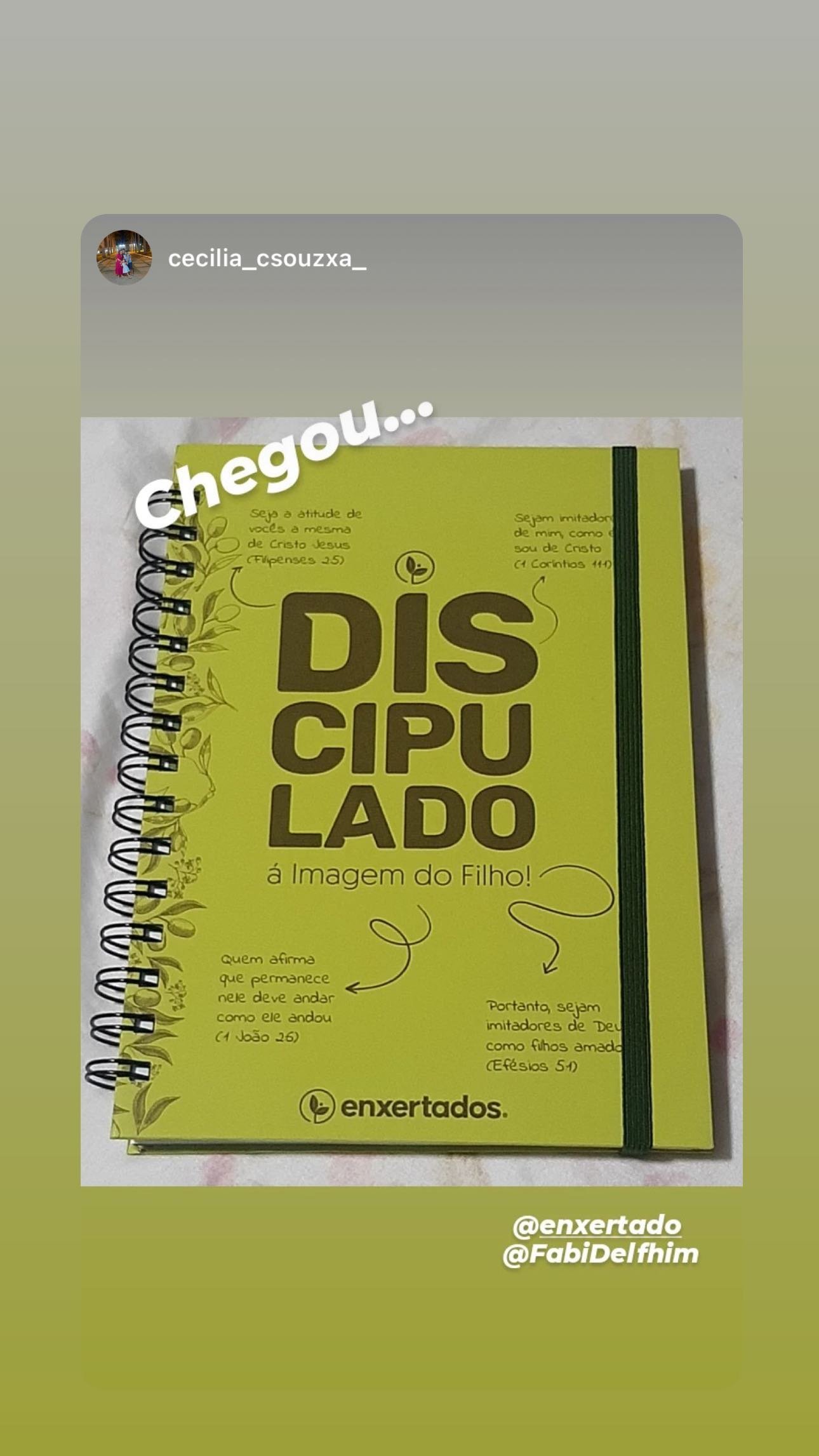 Print do Instagram: leitora mostrando que o Discipulado à Imagem do Filho chegou