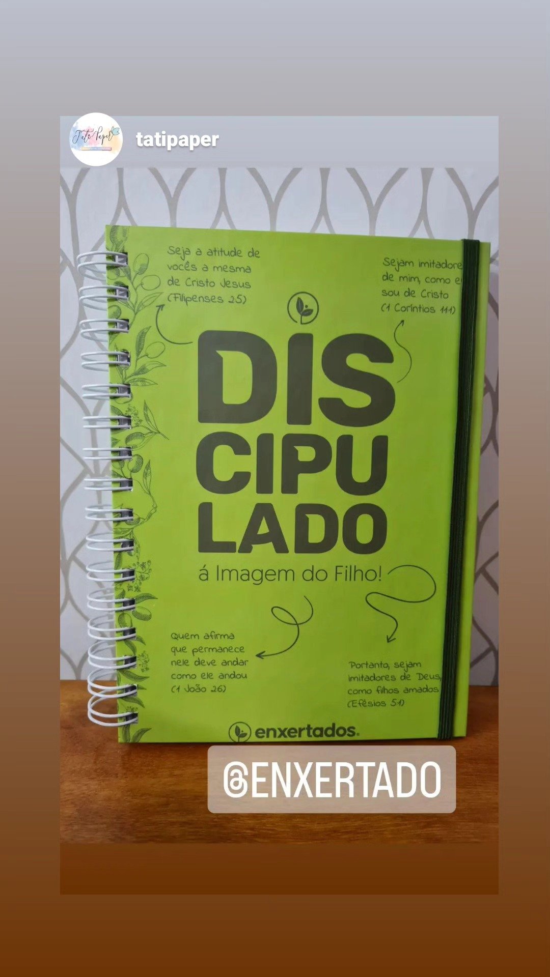Print do Instagram: leitora exibindo o Discipulado à Imagem do Filho encadernado
